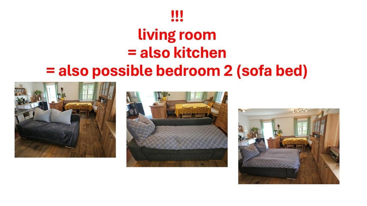Premium Apartment Mit Privatem Whirlpool, Sauna, Garten Sankt Martin am Grimming Exterior foto